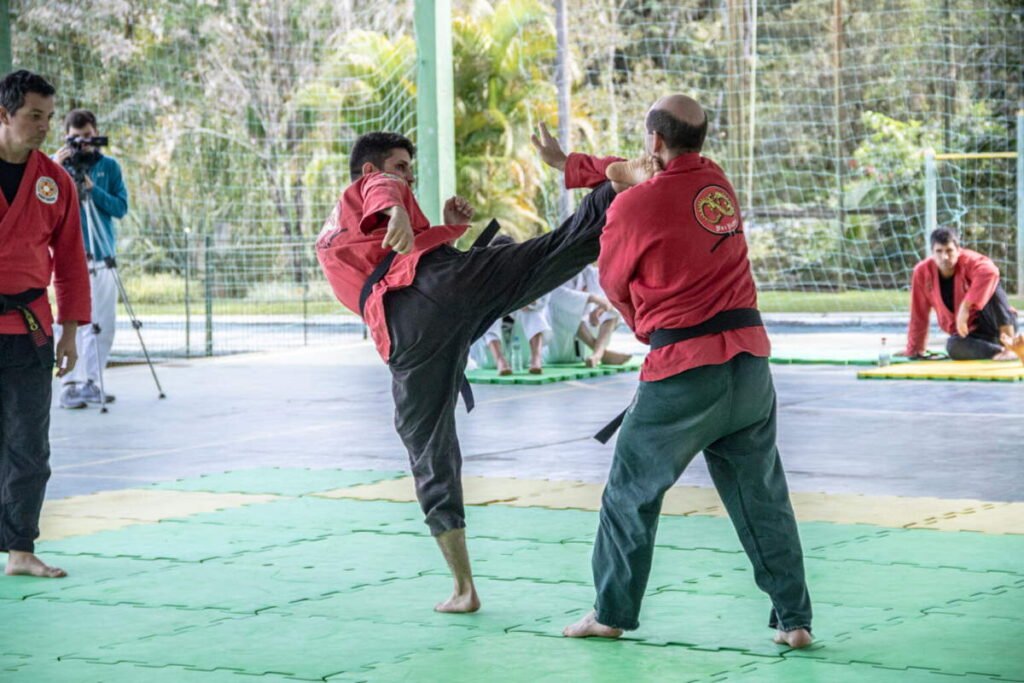 Bodhidharma Nei Kung